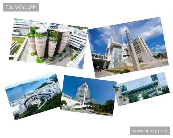 多特蒙德探索之旅感受这座德国足球与文化交融的魅力城市