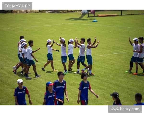 飞盘盛宴：深入了解成都飞盘队的激情与团队精神